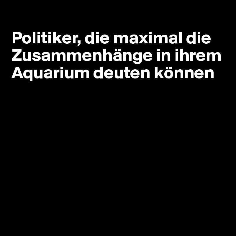 
Politiker, die maximal die Zusammenhänge in ihrem Aquarium deuten können







