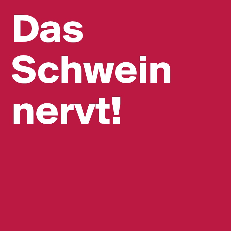 Das Schwein nervt!

