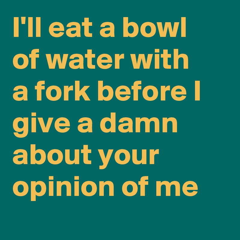 I'll eat a bowl of water with a fork before I give a damn about your opinion of me