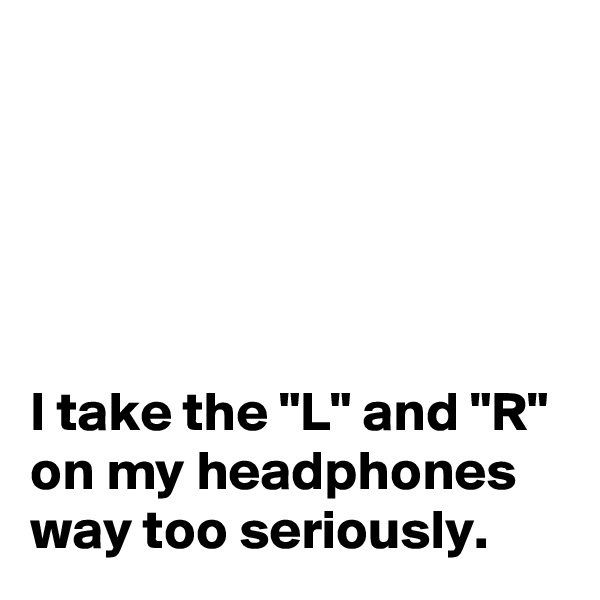 





I take the "L" and "R" on my headphones way too seriously.