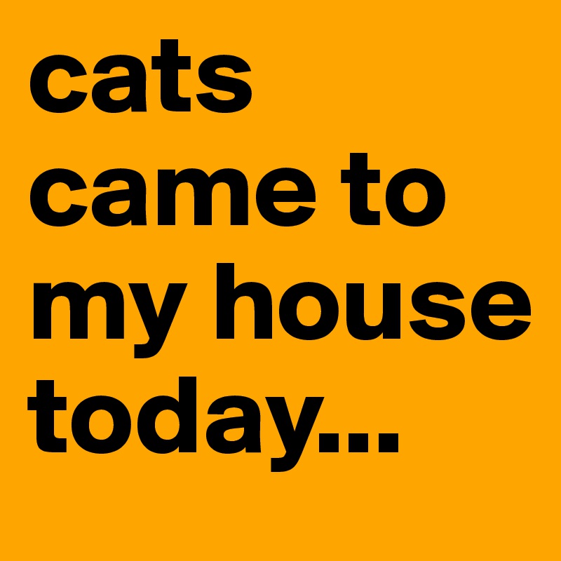cats came to my house today...