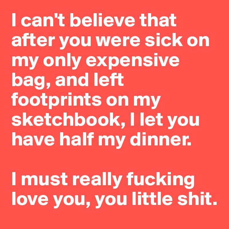 I can't believe that after you were sick on my only expensive bag, and left footprints on my sketchbook, I let you have half my dinner. 

I must really fucking love you, you little shit.