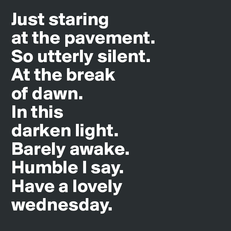 Just staring 
at the pavement. 
So utterly silent. 
At the break 
of dawn. 
In this 
darken light. 
Barely awake. 
Humble I say. 
Have a lovely wednesday.