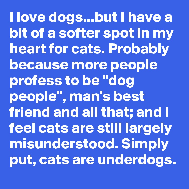 I love dogs...but I have a bit of a softer spot in my heart for cats. Probably because more people profess to be "dog people", man's best friend and all that; and I feel cats are still largely misunderstood. Simply put, cats are underdogs.