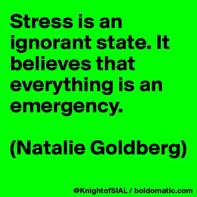 Stress is an ignorant state. It believes that everything is an emergency.

(Natalie Goldberg)
