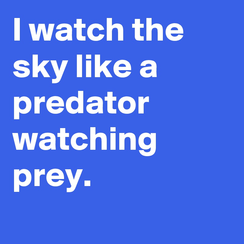 I watch the sky like a predator watching prey. 
