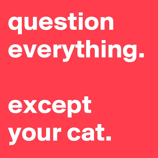 question everything.

except your cat.