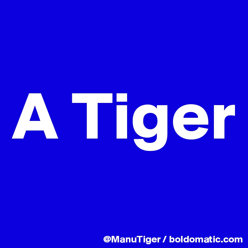 
A Tiger
