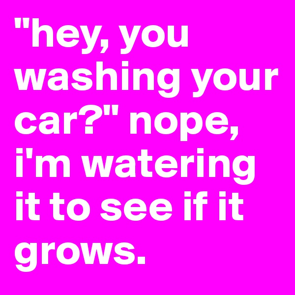 "hey, you washing your car?" nope, i'm watering it to see if it grows.