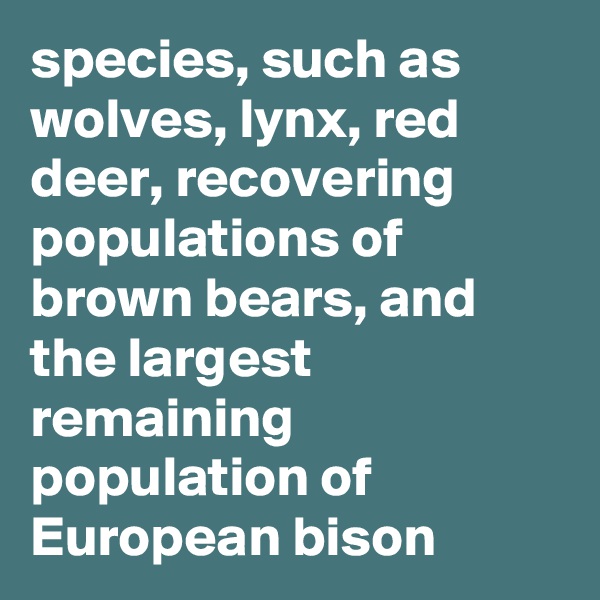 species, such as wolves, lynx, red deer, recovering populations of brown bears, and the largest remaining population of European bison