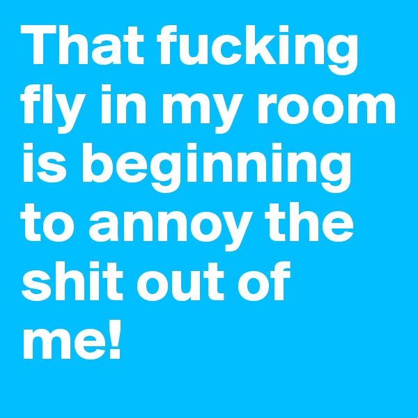 That fucking fly in my room is beginning to annoy the shit out of me!