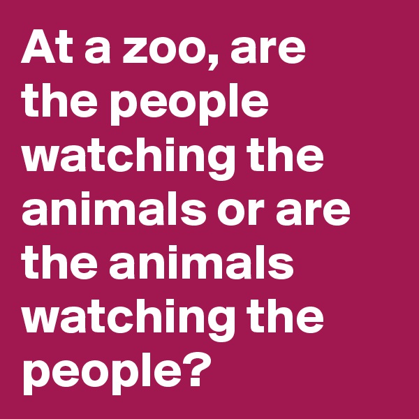 At a zoo, are the people watching the animals or are the animals watching the people?