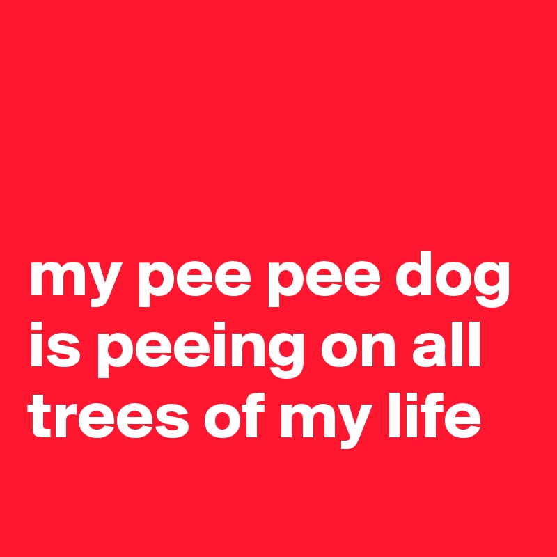 


my pee pee dog is peeing on all trees of my life