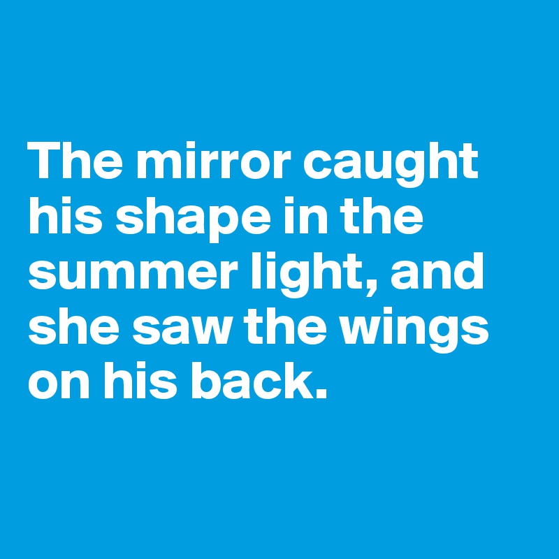 

The mirror caught his shape in the summer light, and she saw the wings on his back.

