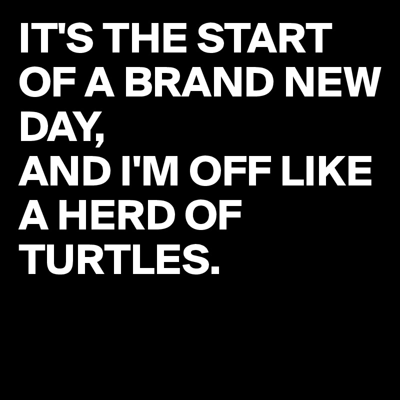 IT'S THE START OF A BRAND NEW DAY, 
AND I'M OFF LIKE A HERD OF TURTLES.

