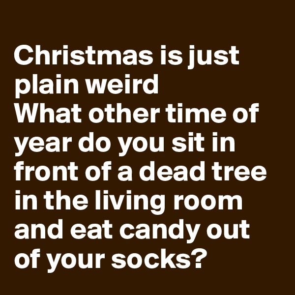
Christmas is just plain weird
What other time of year do you sit in front of a dead tree in the living room and eat candy out of your socks?