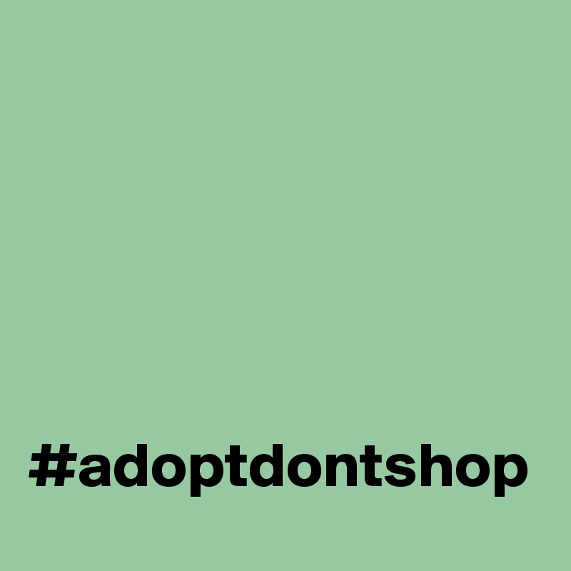 





#adoptdontshop