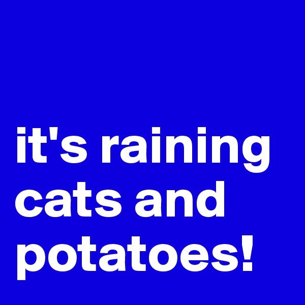 

it's raining cats and potatoes!