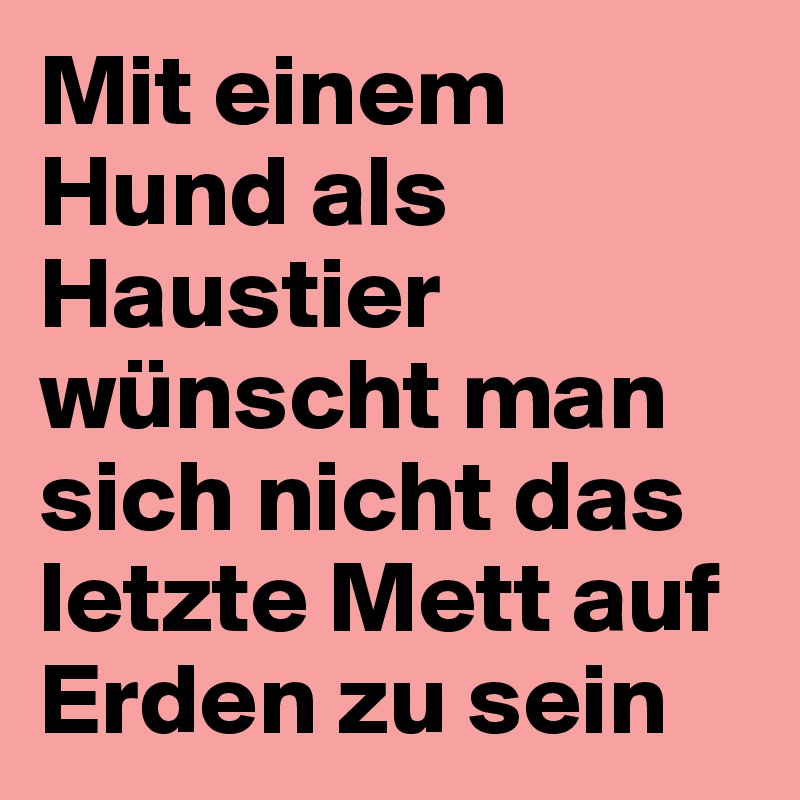 Mit einem Hund als Haustier wünscht man sich nicht das letzte Mett auf Erden zu sein