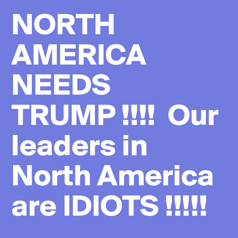 NORTH AMERICA  NEEDS TRUMP !!!!  Our  leaders in North America are IDIOTS !!!!!