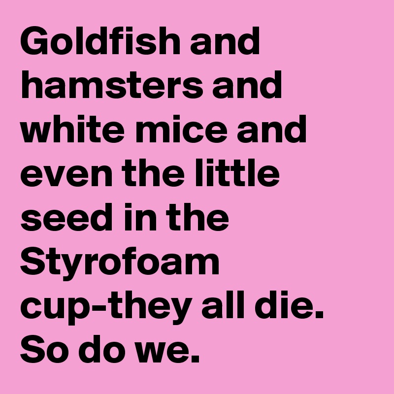 Goldfish and hamsters and white mice and even the little seed in the Styrofoam cup-they all die. So do we.