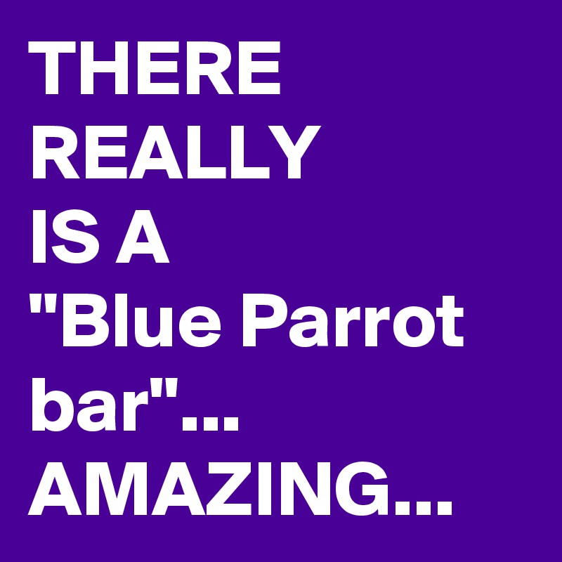 THERE 
REALLY 
IS A
"Blue Parrot bar"...
AMAZING...