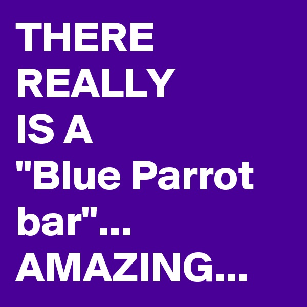 THERE 
REALLY 
IS A
"Blue Parrot bar"...
AMAZING...