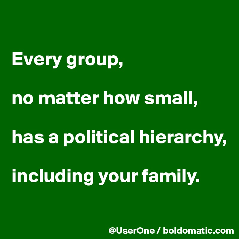 

Every group,

no matter how small,

has a political hierarchy,

including your family.
