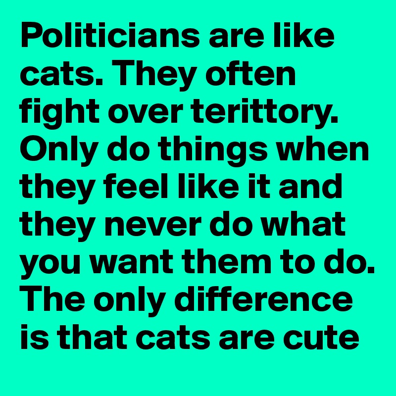 Politicians are like cats. They often fight over terittory. Only do things when they feel like it and they never do what you want them to do. The only difference is that cats are cute 