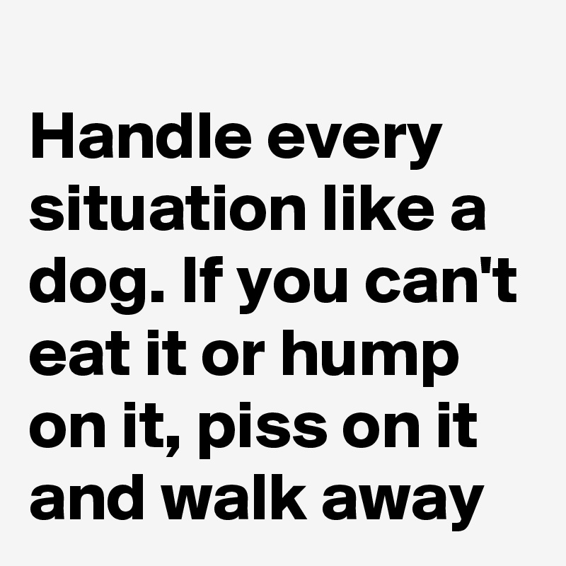 
Handle every situation like a dog. If you can't eat it or hump on it, piss on it and walk away