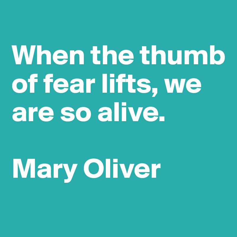 
When the thumb of fear lifts, we are so alive. 

Mary Oliver
