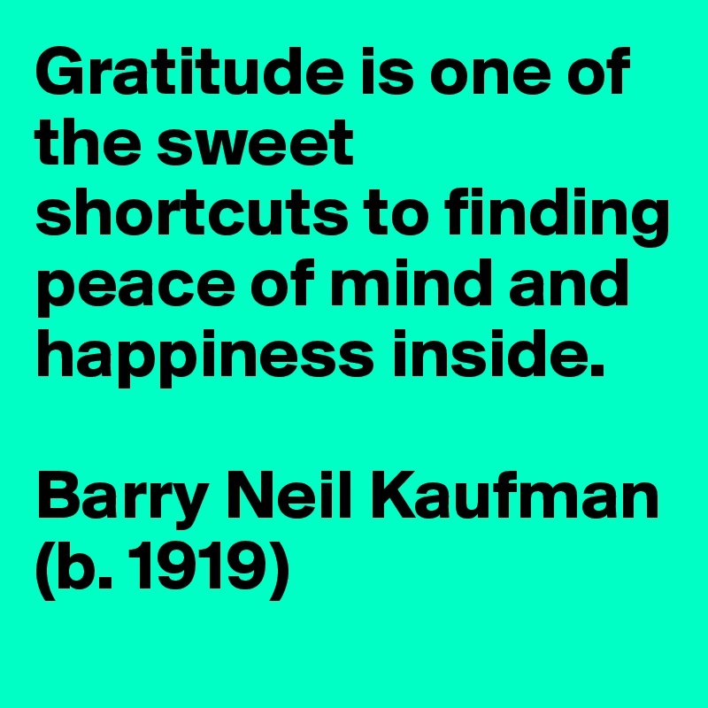 Gratitude is one of the sweet shortcuts to finding peace of mind and happiness inside. 

Barry Neil Kaufman
(b. 1919)