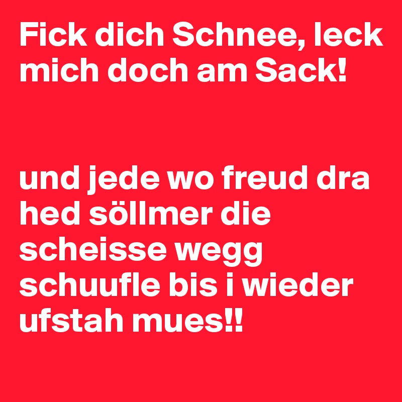 Fick dich Schnee, leck mich doch am Sack! 


und jede wo freud dra hed söllmer die scheisse wegg schuufle bis i wieder ufstah mues!! 