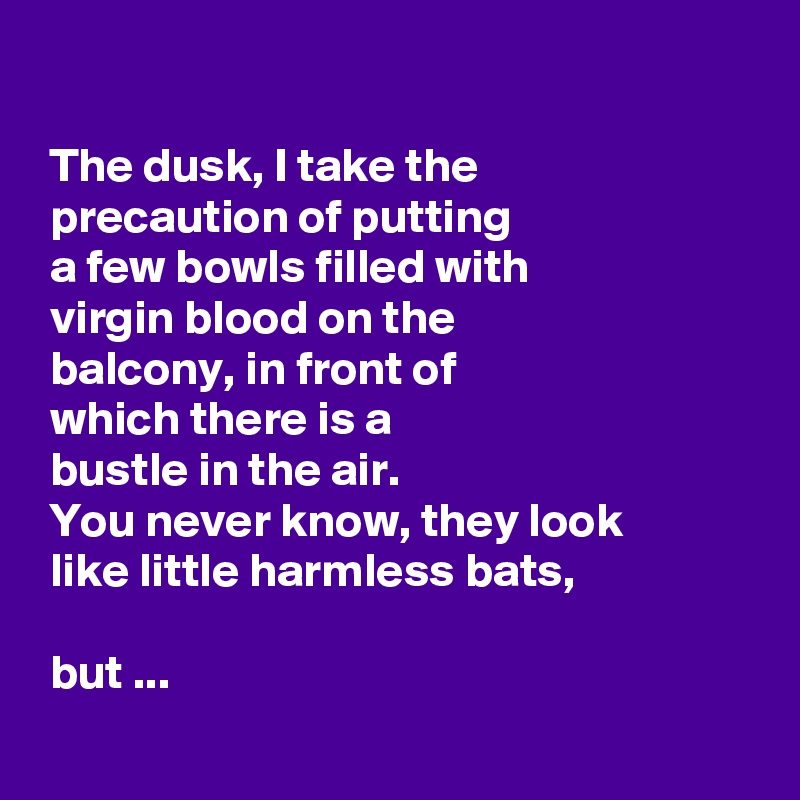 

 The dusk, I take the
 precaution of putting
 a few bowls filled with
 virgin blood on the
 balcony, in front of
 which there is a
 bustle in the air. 
 You never know, they look 
 like little harmless bats, 
 
 but ...
