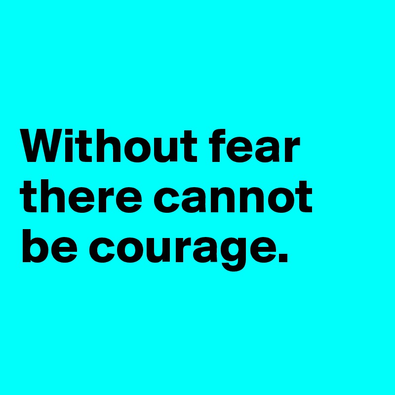 

Without fear there cannot be courage.

