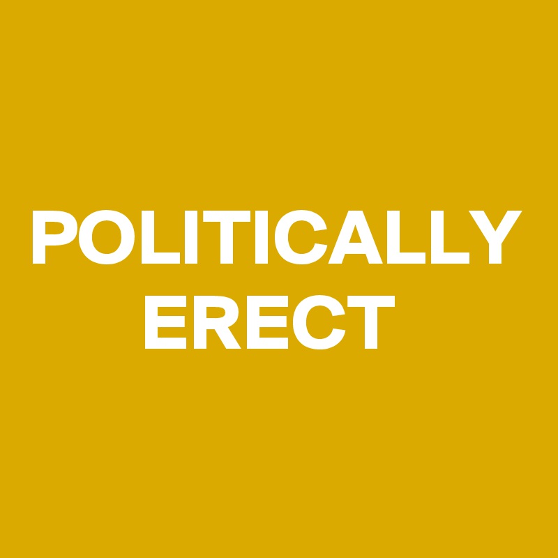 

POLITICALLY
       ERECT