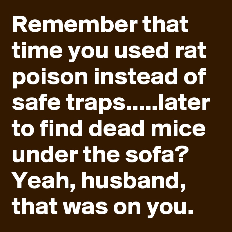 Remember that time you used rat poison instead of safe traps.....later to find dead mice under the sofa? Yeah, husband, that was on you. 