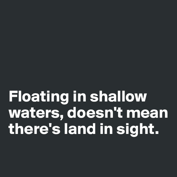 




Floating in shallow waters, doesn't mean there's land in sight.
