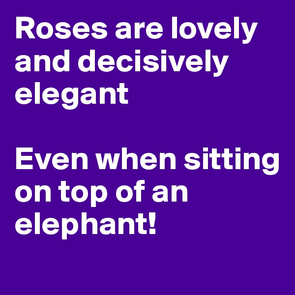 Roses are lovely  and decisively elegant

Even when sitting on top of an elephant!
