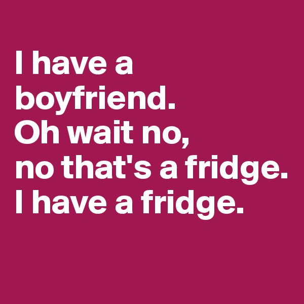 
I have a boyfriend. 
Oh wait no,
no that's a fridge. 
I have a fridge. 
