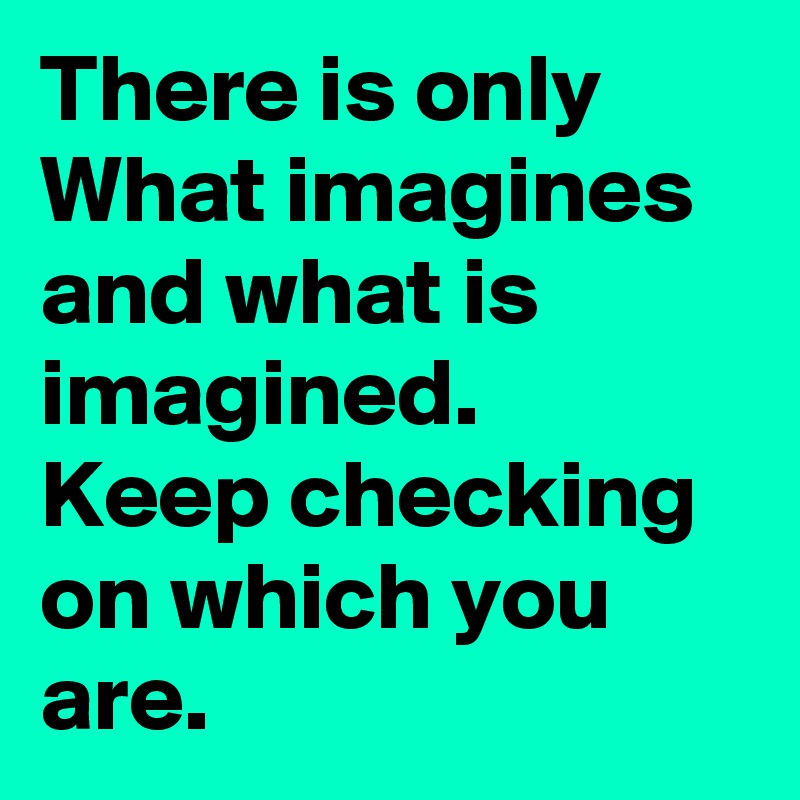 There is only What imagines and what is imagined.  Keep checking  on which you are.