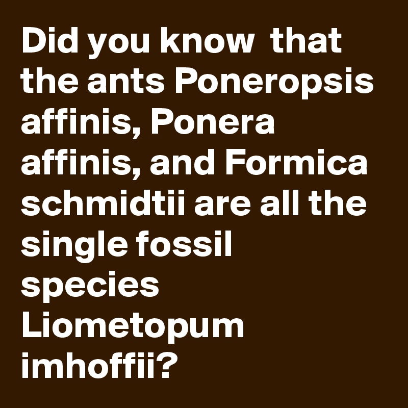 Did you know  that the ants Poneropsis affinis, Ponera affinis, and Formica schmidtii are all the single fossil species Liometopum imhoffii?