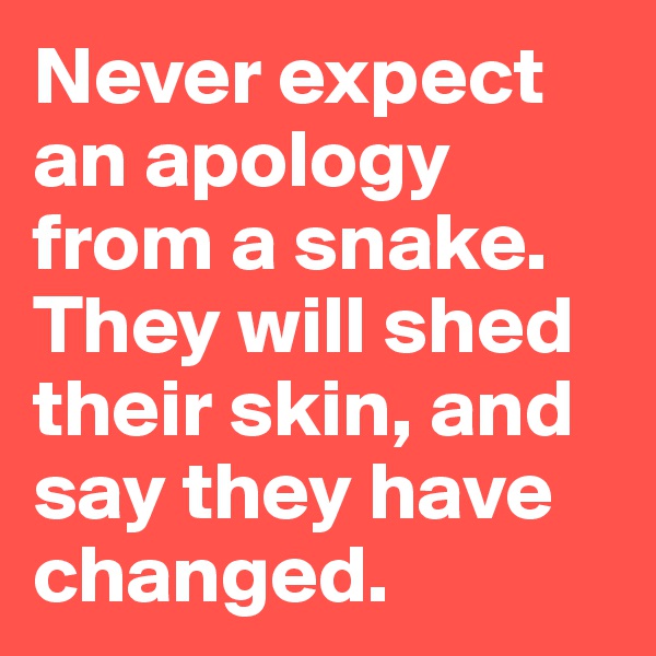 Never expect an apology from a snake. They will shed their skin, and say they have changed.