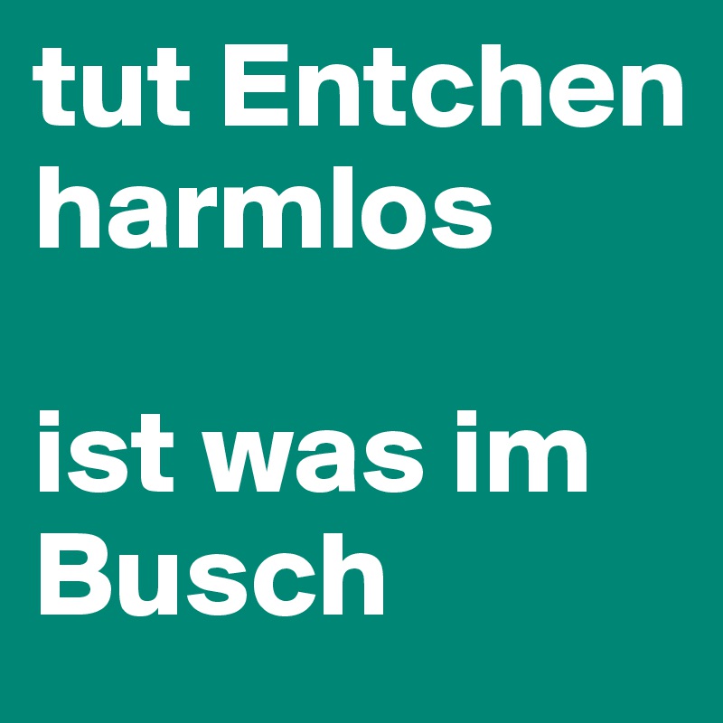 tut Entchen 
harmlos 

ist was im Busch