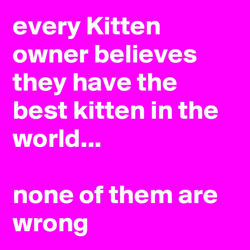 every Kitten owner believes they have the best kitten in the world...

none of them are wrong