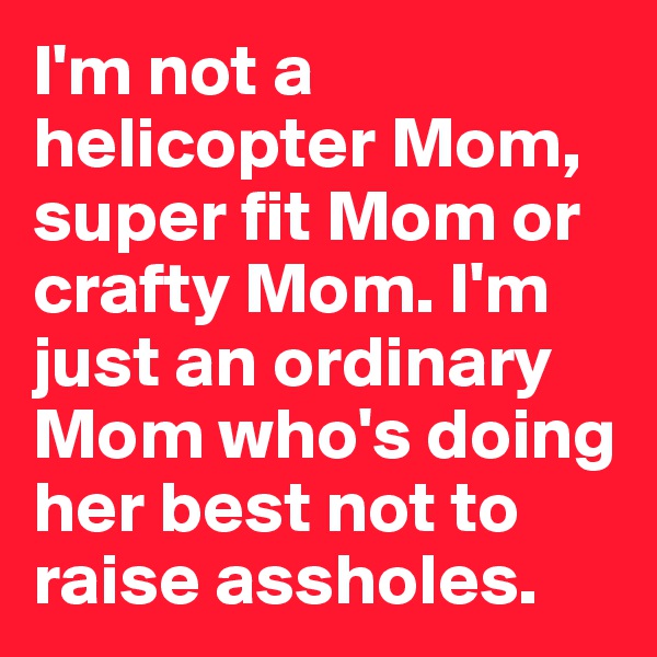 I'm not a helicopter Mom, super fit Mom or crafty Mom. I'm just an ordinary Mom who's doing her best not to raise assholes.