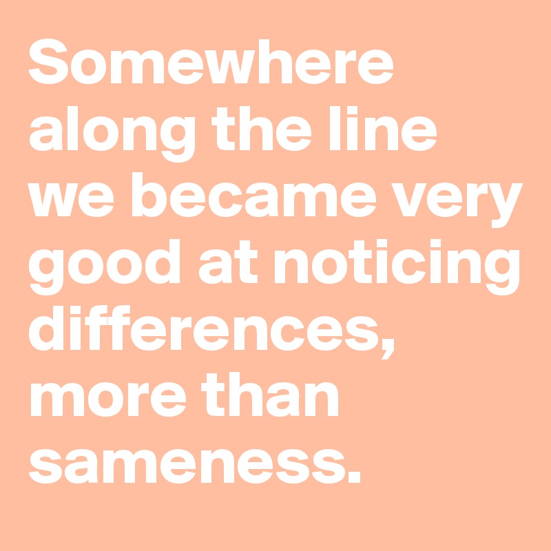 Somewhere along the line we became very good at noticing differences, more than sameness. 