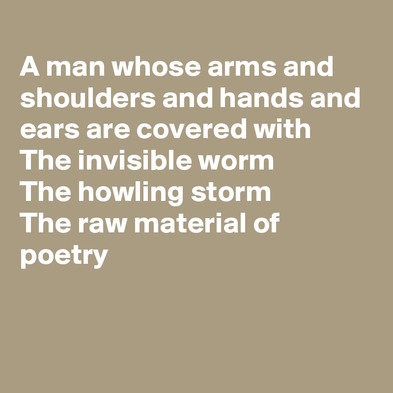 
A man whose arms and shoulders and hands and ears are covered with
The invisible worm
The howling storm
The raw material of poetry

