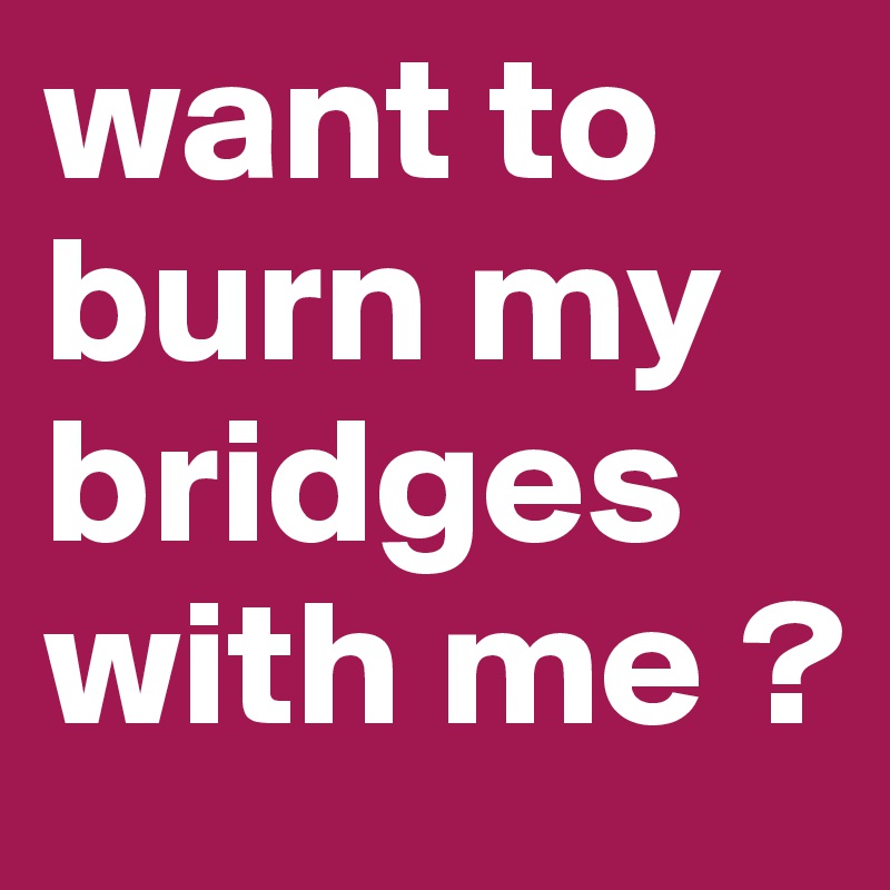 want to burn my bridges with me ?