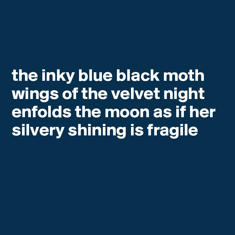 


the inky blue black moth wings of the velvet night enfolds the moon as if her silvery shining is fragile



